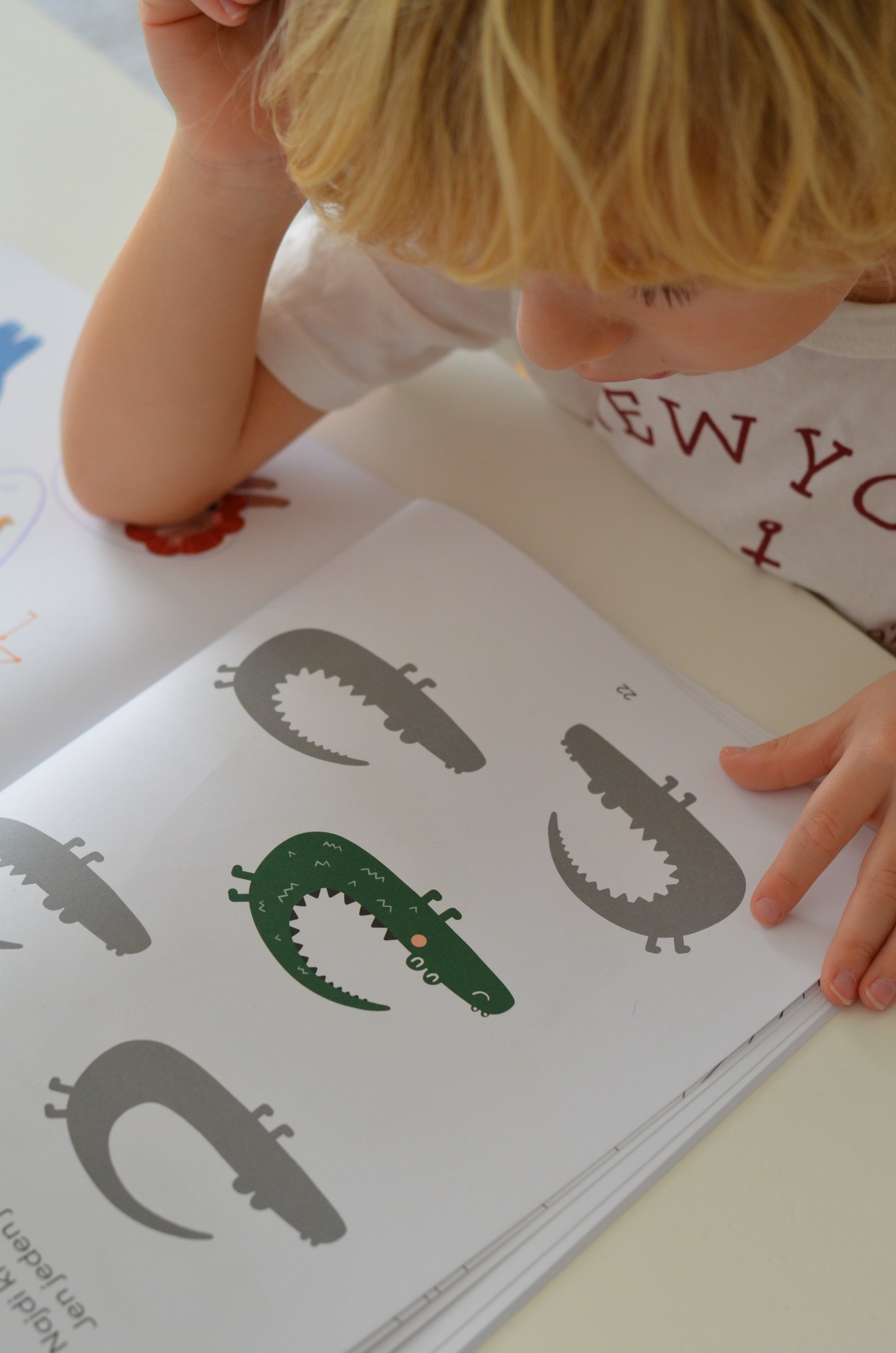 Mój pierwszy zeszyt Safari