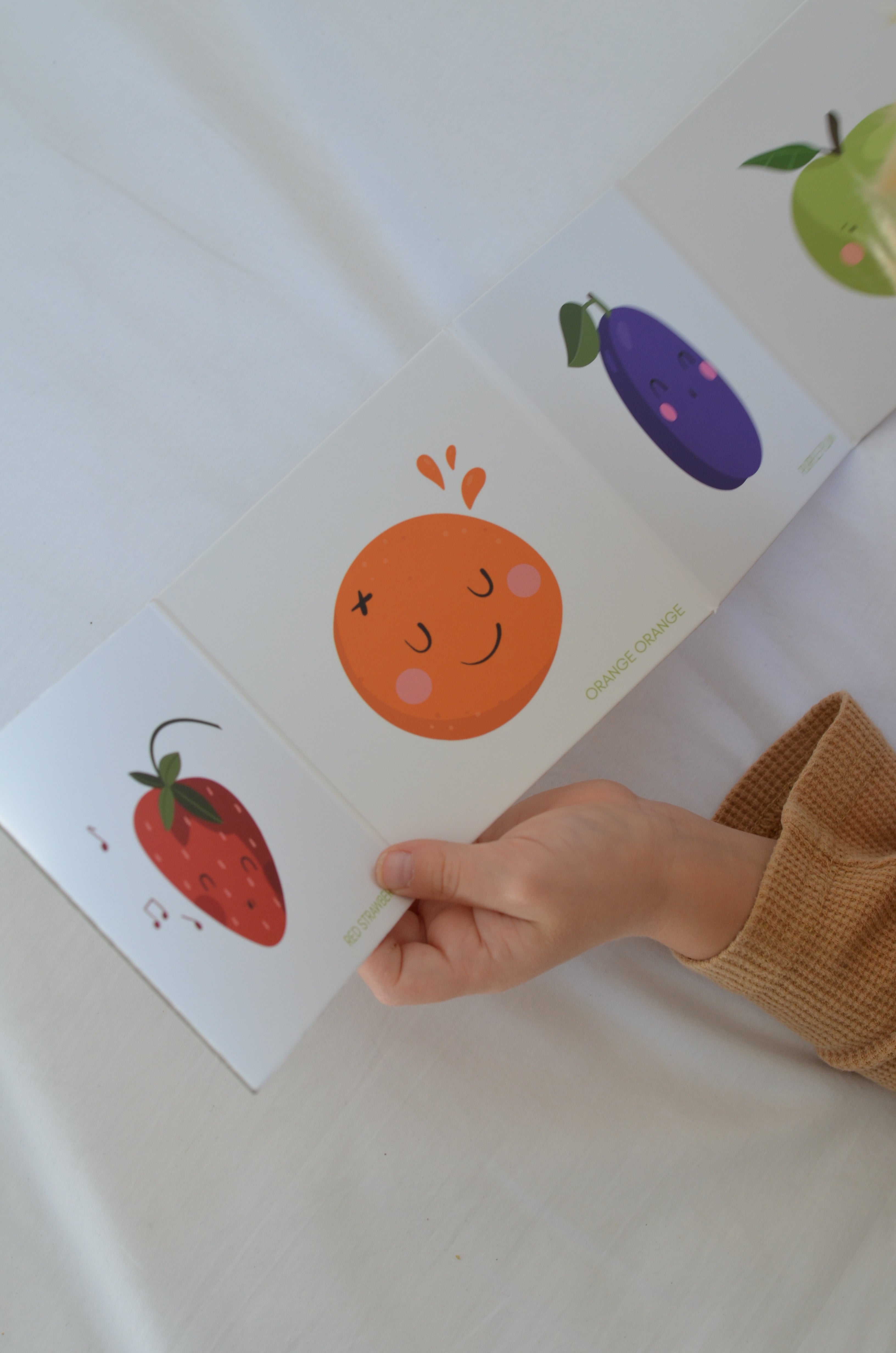 BOOK Fruits & Colours