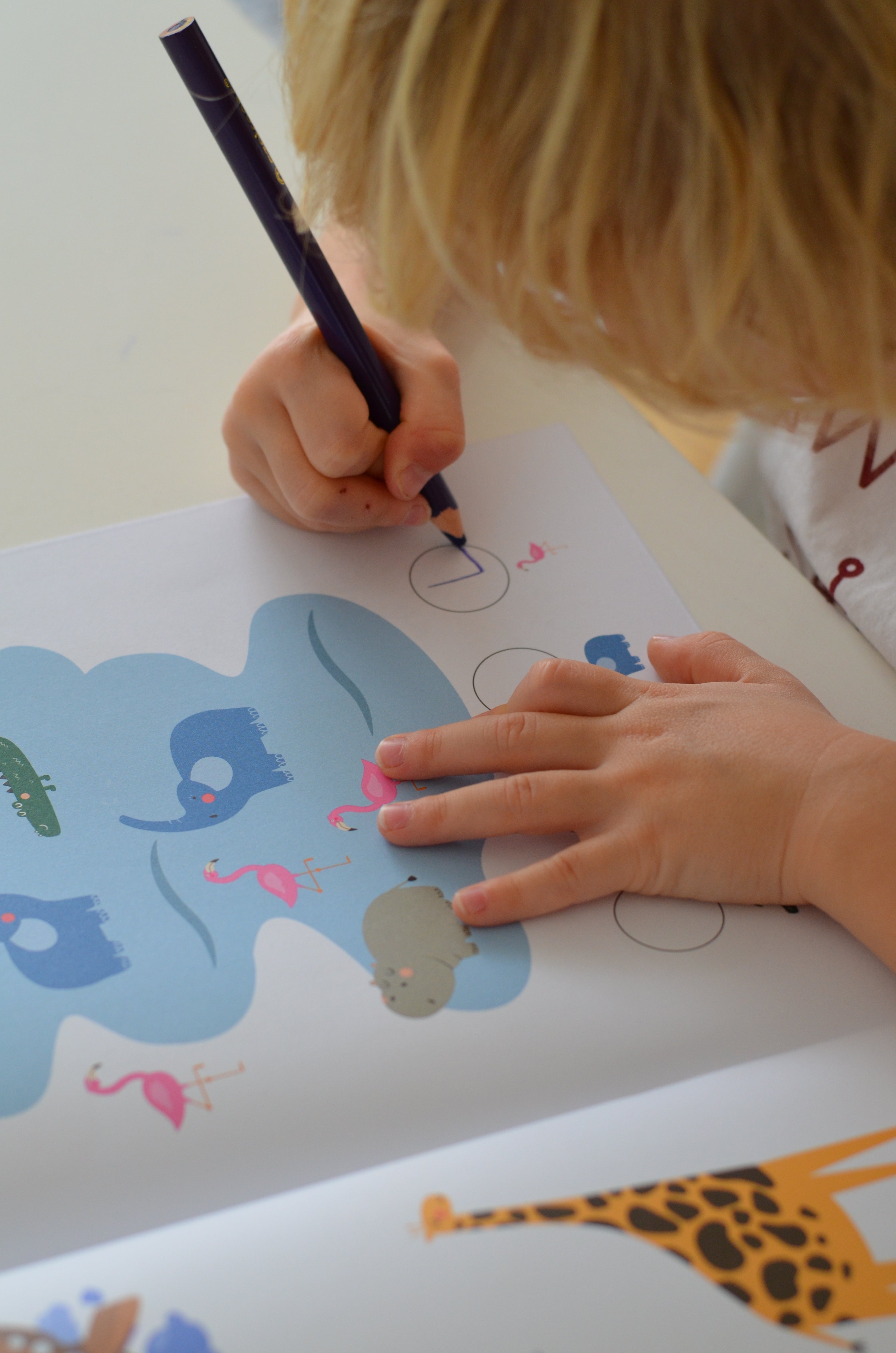 Mój pierwszy zeszyt Safari