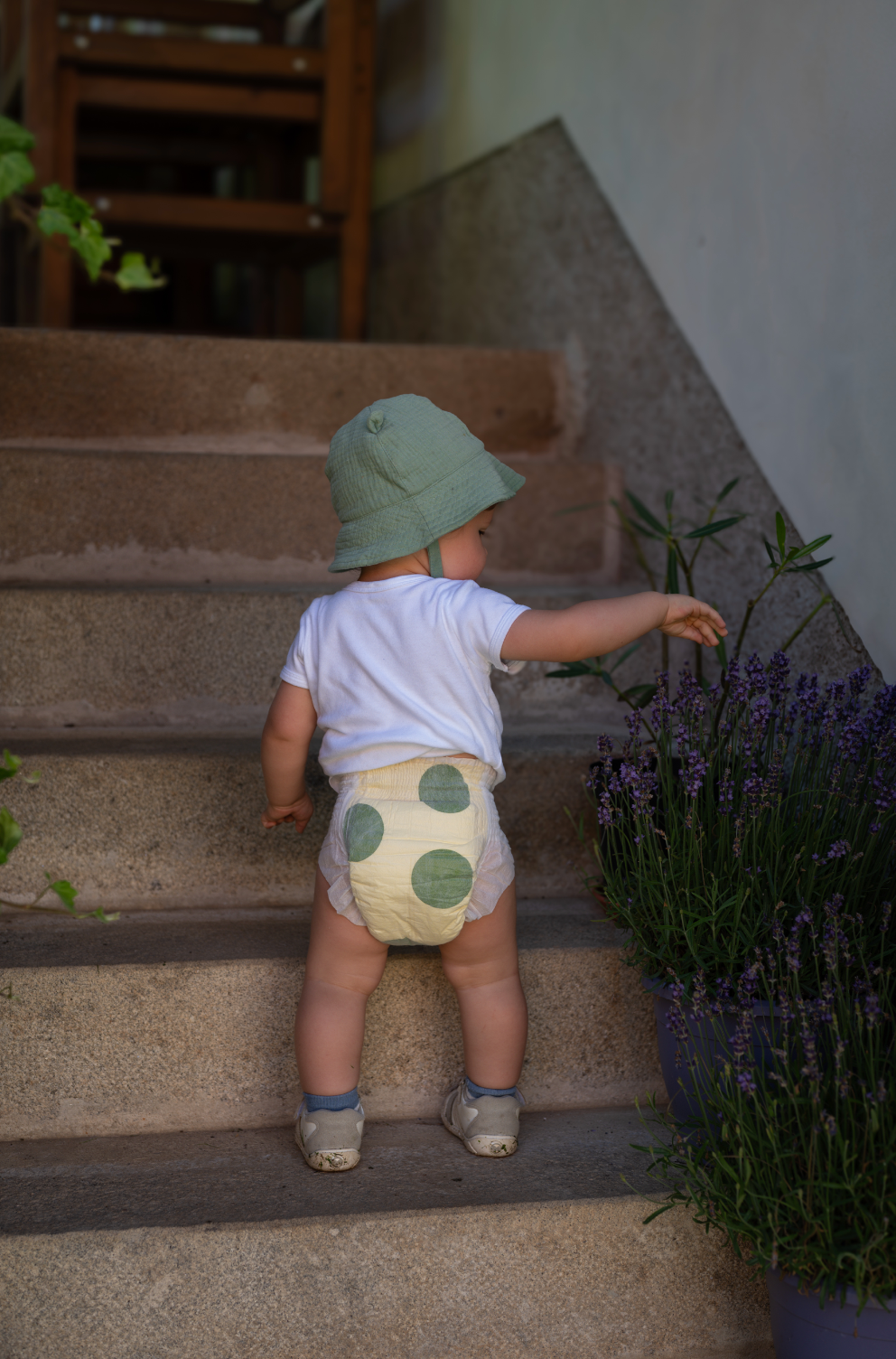 DAY Limited Fun, L (8–13 kg | 19 sztuka)