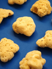 SEA SPONGE Mini